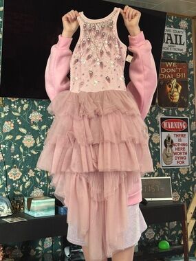 Ooh! La, La! Couture Pink Layered Tulle Dress with Gem Bodice